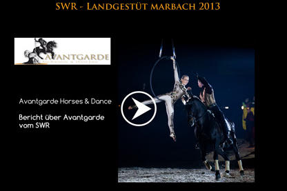 SWR - Landgestüt marbach 2013